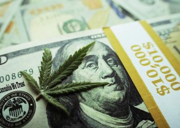 New Appropriations Language Protects Legally Operating Cannabis Businesses and Financial Institutions