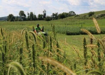 Charlotte’s Web Announces Research Initiative with Rodale Institute and Natural Care to Pioneer Regenerative Hemp Agriculture In North America