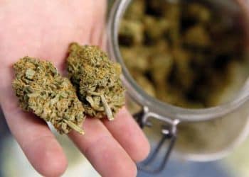 Historic Hearing on Cannabis in America Held