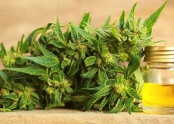 NY Legislature Passes Landmark CBD Hemp Bill; Awaits Governor’s Signature