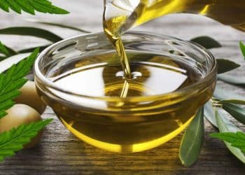 Extraction Method and Analysis of Cannabinoids