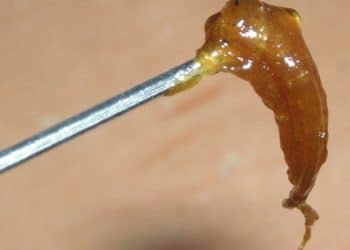 Residual Solvents: Detrimental Effects on Both Health and Quality of Products