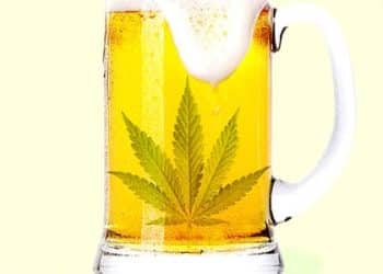 PURA Explores CBD Infused Beer with Existing Beer Producer