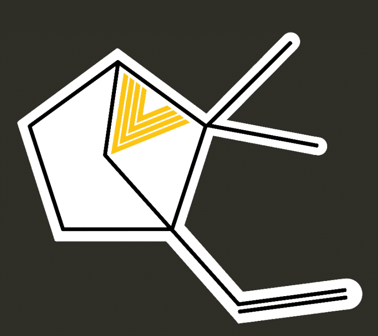 CANN Membership Drive