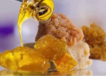 Concentrates on Track to Outsell Flower by 2023