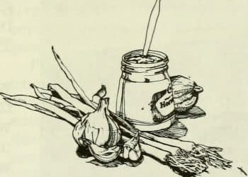 Cannabis-Derived Terpenes