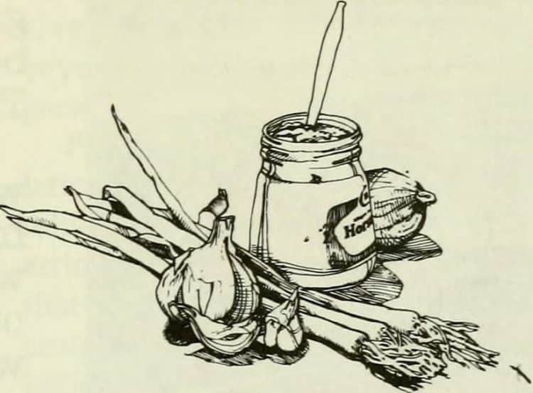 Cannabis-Derived Terpenes