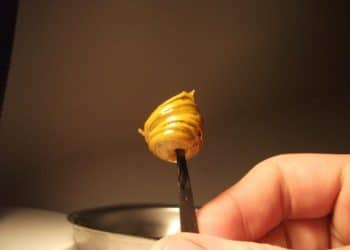 Lung Bioavailability of Cannabinoids