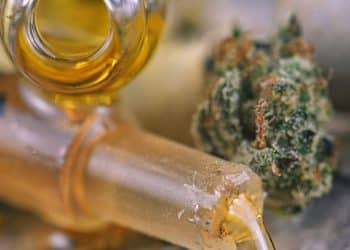 Assorted cannabis oil containers with CBD, live resin and other thc extractions - medical marijuana concept