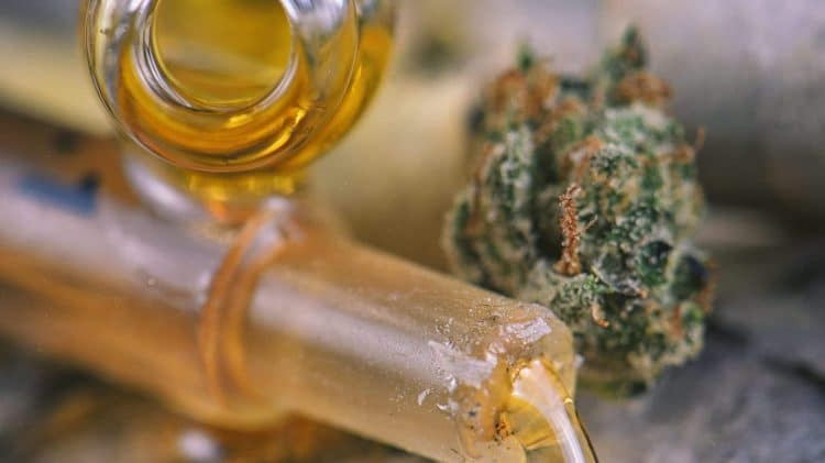 Assorted cannabis oil containers with CBD, live resin and other thc extractions - medical marijuana concept