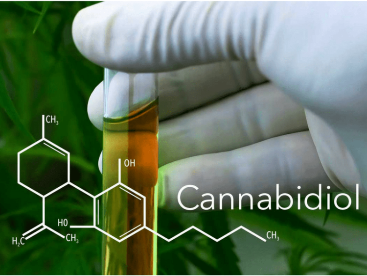 New Consumer Study Shows CBD (Cannabidiol) is the Next Big Industry Disruptor, for Pharma and Beyond