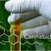 New Consumer Study Shows CBD (Cannabidiol) is the Next Big Industry Disruptor, for Pharma and Beyond