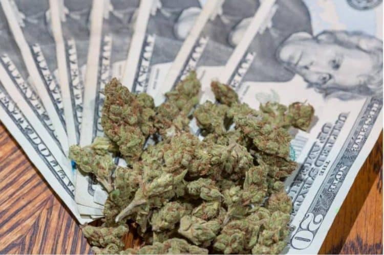 Historic: Judiciary Committee Chairman Introduces Bill to End Federal Cannabis Prohibition