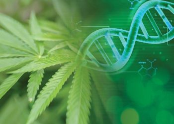 Medicinal Genomics Announces Raphael Mechoulam, the Father of Cannabis Research, Will Headline CannMed 2019, September 23-24, in Pasadena, CA