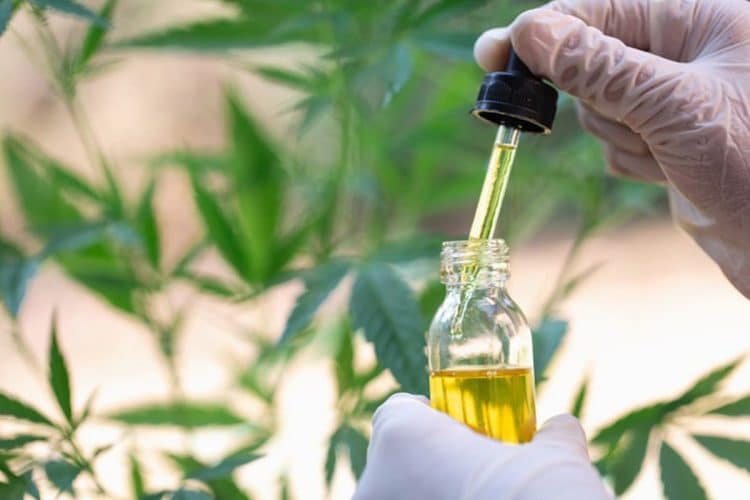 U.S. Drug Enforcement Agency to Expand Cannabis Research: GB Sciences Submitted One of Thirty-Three Applications to Become a DEA-Registered Cannabis Supplier to U.S. Marijuana Researchers