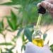 U.S. Drug Enforcement Agency to Expand Cannabis Research: GB Sciences Submitted One of Thirty-Three Applications to Become a DEA-Registered Cannabis Supplier to U.S. Marijuana Researchers