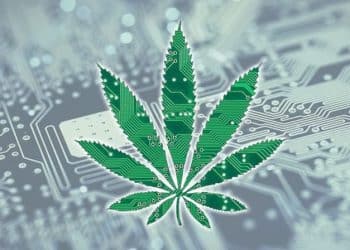 What Role Does Technology Play in Cannabis Industry Growth?