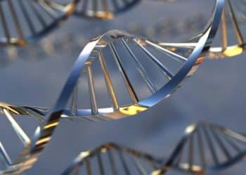 Ponce De Leon Health Launches Dietary Supplement with At-Home DNA Epigenetic Test, Containing Ingredient Shown to Increase Healthspan And Lifespan