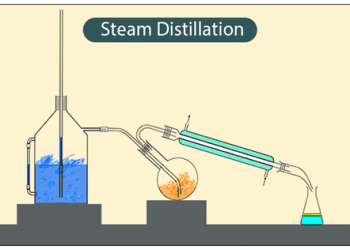 Essenciere launches new Steam Distillation Company