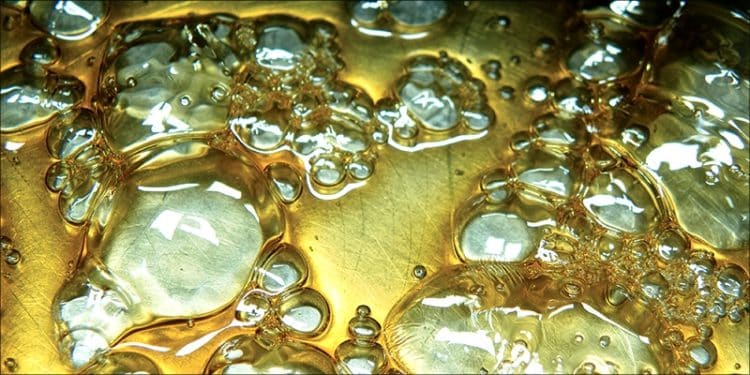 Live Rosin: What Is It?