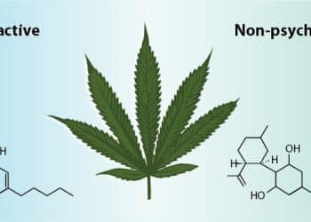 Rocky Mountain High: AbsoluteXtracts And Lagunitas Brewing Bring THC And CBD IPA-Inspired Sparkling Cannabis Water to Colorado