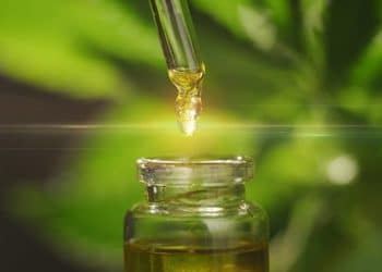 Oz Medicann – Granted Medicinal Cannabis and Cannabis Research Licences