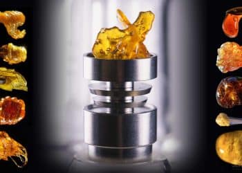 Most Ecofriendly Extraction Method