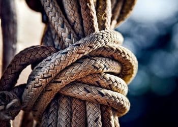 Mad Hemp Science: New Techniques Bring Hemp Back to Life