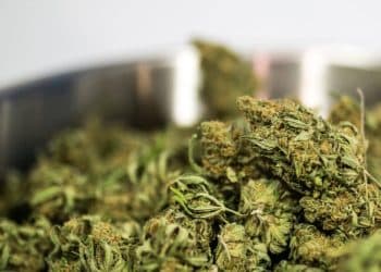 Decarboxylation Strategies