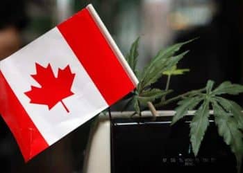 Province Brands of Canada Achieves Major Milestone