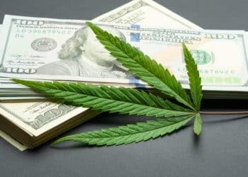 Report: Cannabis Legalization Not Associated with Adverse ‘Spillover’ Effects in Neighboring States