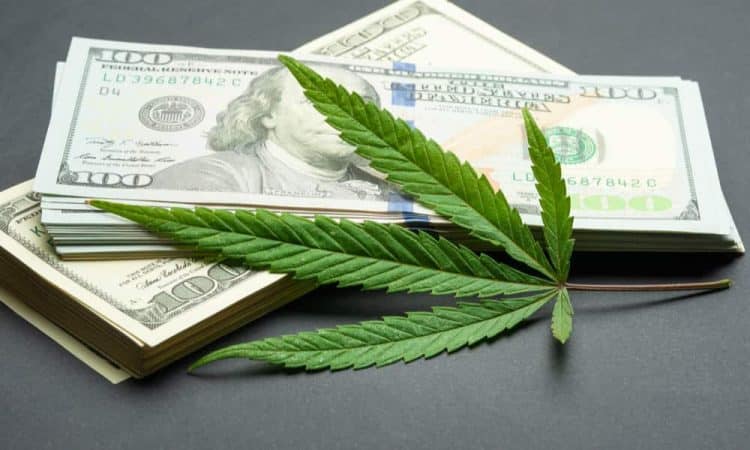 Report: Cannabis Legalization Not Associated with Adverse ‘Spillover’ Effects in Neighboring States