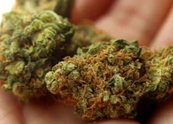 House Judiciary Committee Agrees We Need MORE with Historic Vote Clearing Path to End Cannabis Prohibition