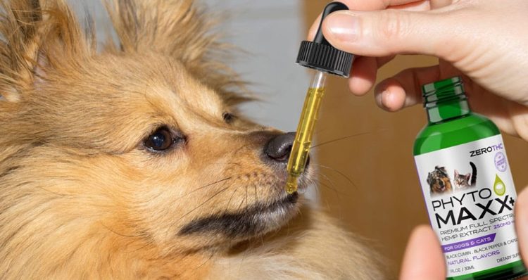 Animal Nutritional Products Launches PhytoMAXX™ Plus