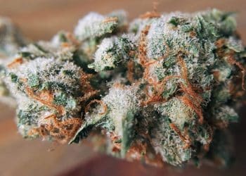 Variable: How Wiper Speed and Temperature Impact Wiped-film Distillation