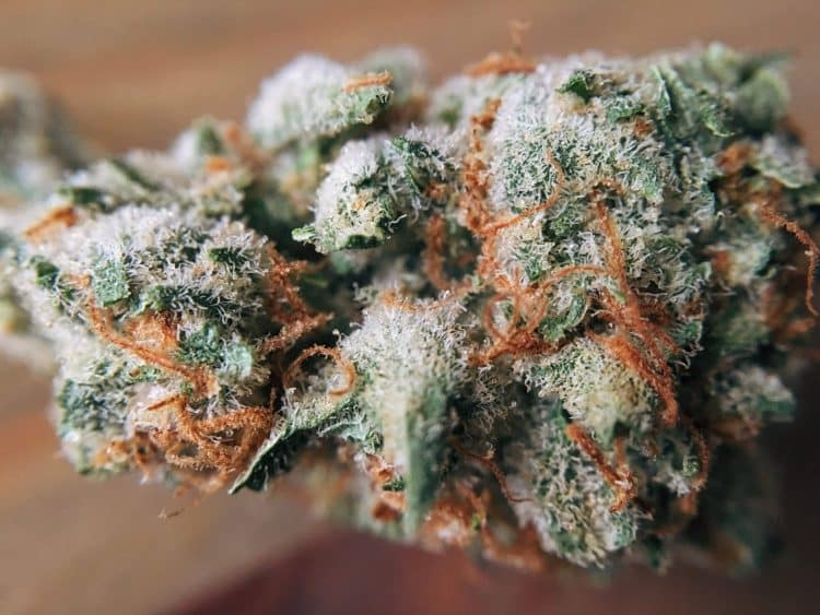 Variable: How Wiper Speed and Temperature Impact Wiped-film Distillation