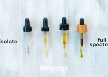 What Do Full-Spectrum and Broad-Spectrum Actually Mean?