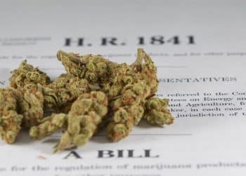 House Judiciary Committee Approves Bill to End Marijuana Prohibition