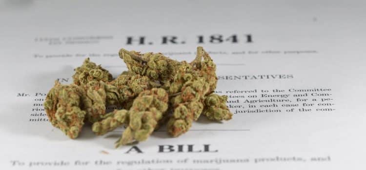 House Judiciary Committee Approves Bill to End Marijuana Prohibition