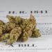 House Judiciary Committee Approves Bill to End Marijuana Prohibition
