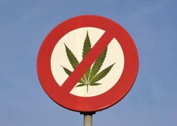 Committee Markup Announced to End Cannabis Prohibition