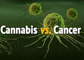 The Study that Proved THC/CBD Synergy