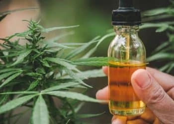500 Million Potential European CBD Consumers