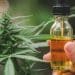 500 Million Potential European CBD Consumers