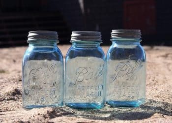 Can Cannabis Live Forever? New Science from Overseas