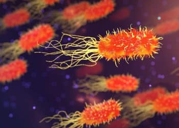Microbial Growth Under sCO2