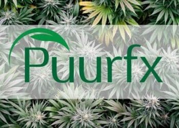 Puurfx Launches Premium CBD-Curated Subscription Box Service