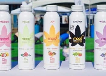 Evo Hemp Announces NEW Line of Hemp-Infused Herbal Teas with Beverage Maker Mood33