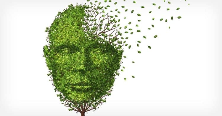 CBD Mitigation of THC-Induced Memory Impairment and Psychosis