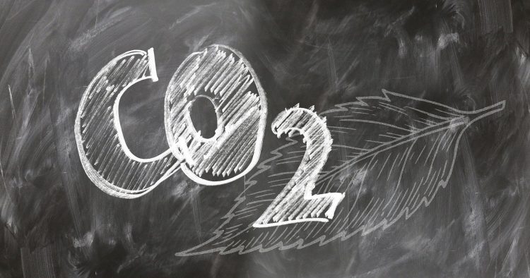 Supercritical CO2 Extraction Strategies